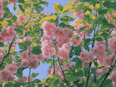 -长白岛森林公园