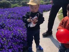 -南通洲际绿博园