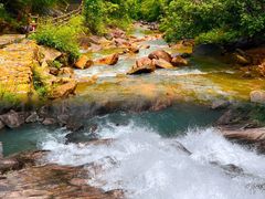 -广州白江湖森林公园