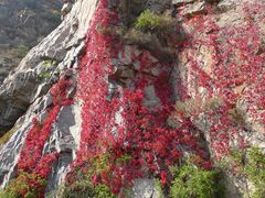 -乌龙峡谷景区