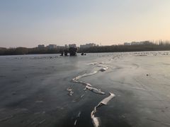 -大兴滨河森林公园