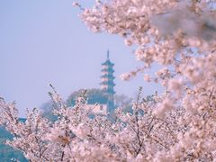 -苏州上方山国家森林公园