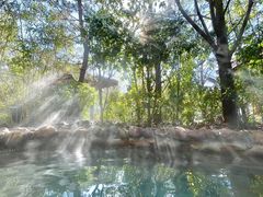 -深业半汤御泉庄温泉