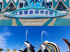 -上海海昌海洋公园