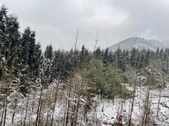 -九峰山