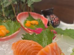 -黑松白鹿(金融街店)