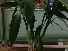 -宜昌富力皇冠假日酒店·咖啡1号西餐厅