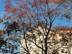 -老门东历史文化街区