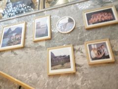 -金龙寨(龙城路店)