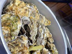 -千岛蚝高压锅生蚝·人参火锅(白云万达店)