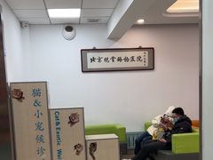 -北京观赏动物医院·24小时大型综合·猫专科·异宠专科