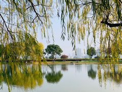 -橘子洲景区