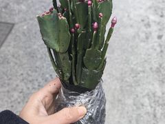-陇南批发市场