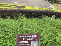 -广西壮族自治区药用植物园