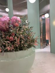 大堂-好看加白色房子