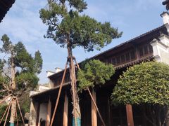 -白鹭洲书院