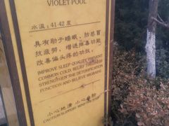 -大连金石滩绿发温泉假日酒店