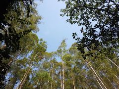 -水濂山森林公园