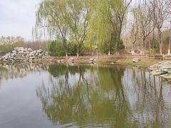 -东升八家郊野公园