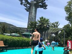 -苏州乐园森林水世界