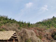 -东钱湖旅游度假区