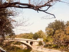 -赵州桥景区