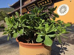 -宝岩生态观光园