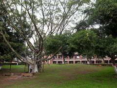 -厦门大学(思明校区)