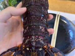 -达摩君日本料理(泰海花园小区店)