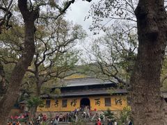 -普陀山风景名胜区-法雨禅寺