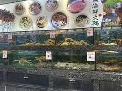 -宝燕壹号(徐汇店)