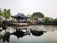 -无锡蠡湖国家湿地公园-蠡园