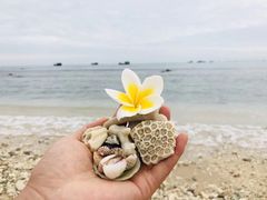 -半山半岛洲际度假酒店·观海廊