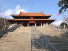 -太子山公园(园东路)