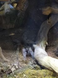 -酷嗒动物文化乐园(cutezoo西溪乐天城店)