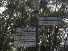 -南丫岛