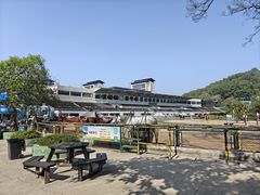 -深圳野生动物园