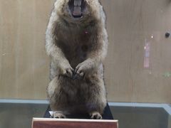 -陕西自然博物馆