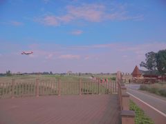 -空港花田景区
