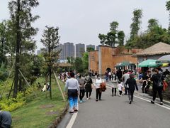 -枫香湖儿童公园