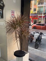 -Nice奈斯形象定制沙龙