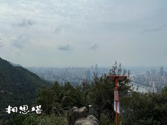 -南山植物园