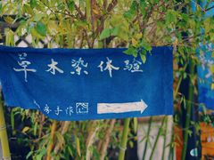 -田园东方蜜桃村的田野营地