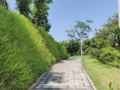 -飞凤山奥体公园