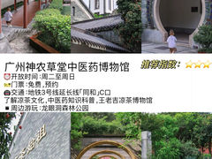-广东省博物馆