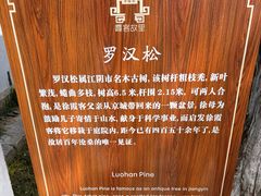 -徐霞客故居
