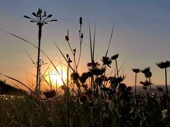 -敕勒川草原文化旅游区