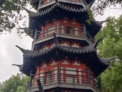 -上海佘山国家森林公园西佘山园