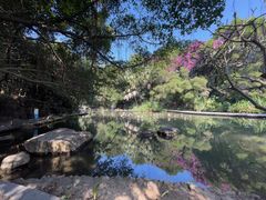 -燕晗山郊野公园