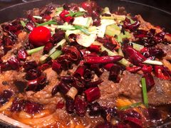 -老板恋上鱼(印象城店)